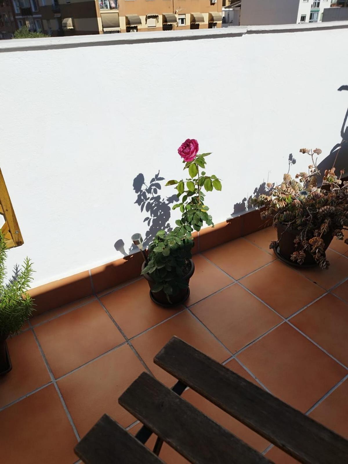 Apartamento Plumaria Málaga Exterior foto